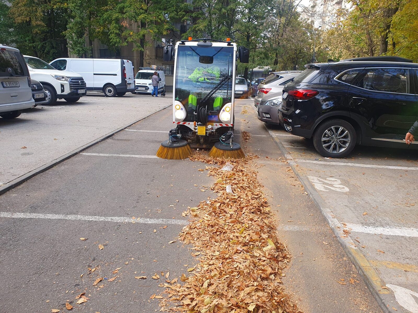 Dulevo 850 măturând frunzele de pe marginea unei străzi, printre mașinile parcate